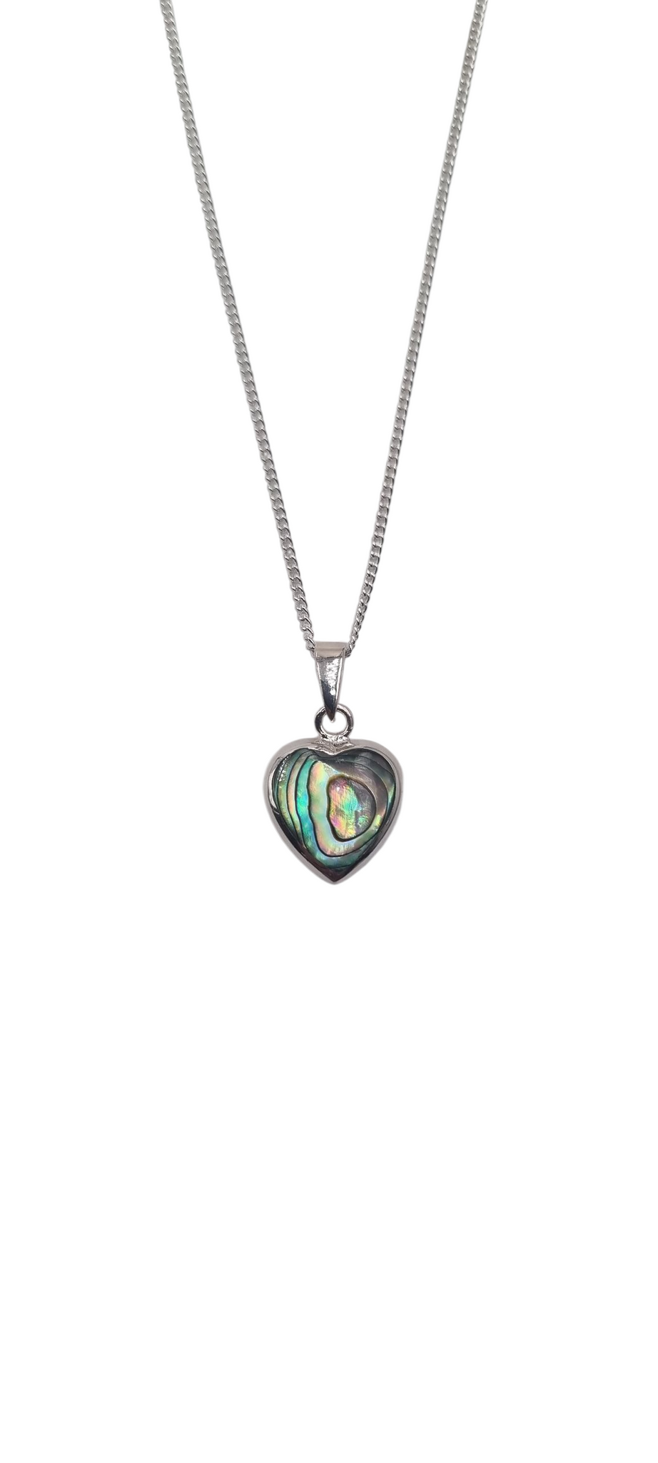Abalone schelp ketting en hanger