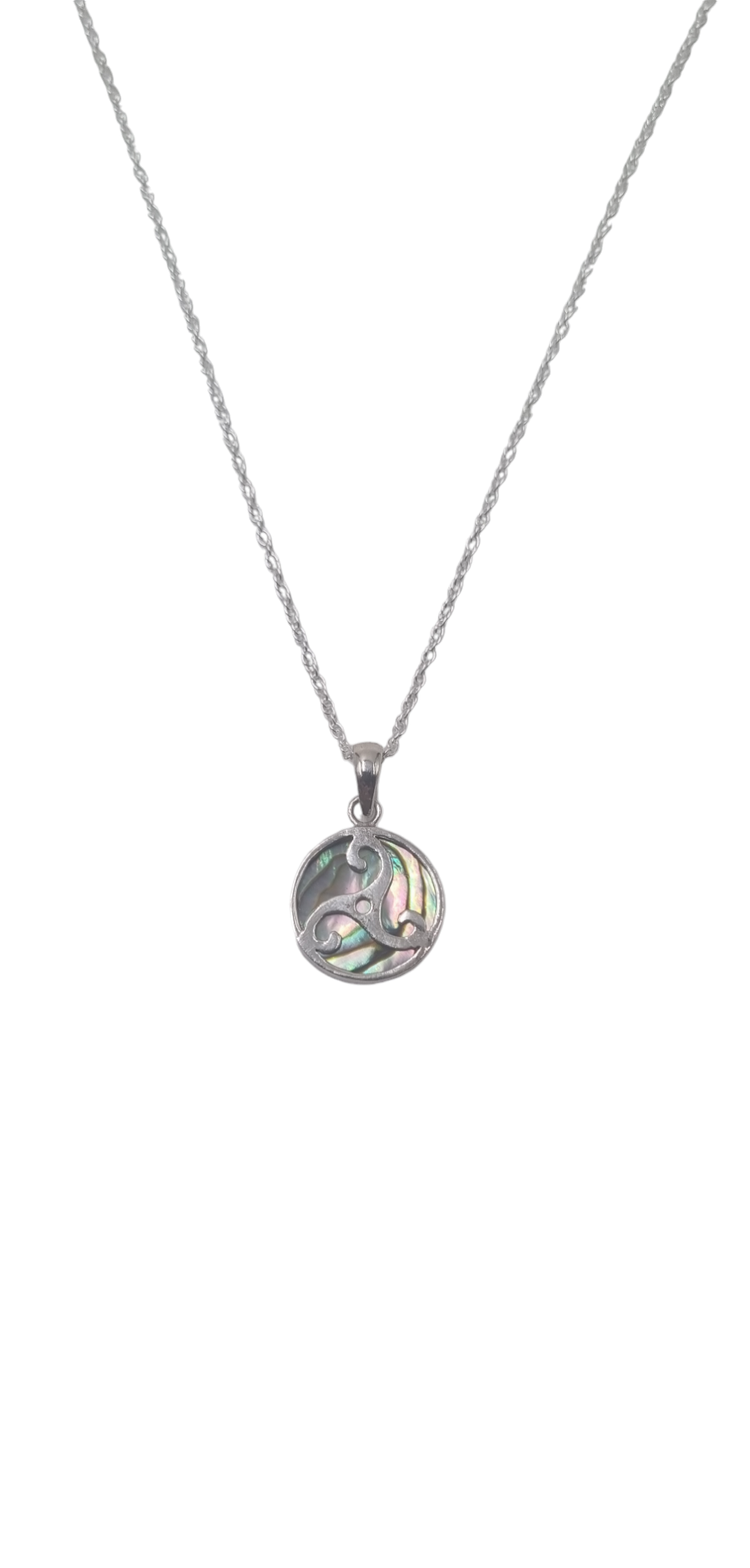 Abalone schelp ketting en hanger